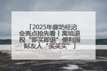 2025年廊坊经洽会亮点抢先看丨离境退税“即买即退”便利国际友人“买买买”