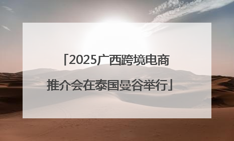 2025广西跨境电商推介会在泰国曼谷举行