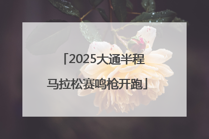 2025大通半程马拉松赛鸣枪开跑
