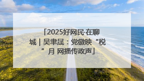2025好网民·在聊城｜吴聿晟：党徽映“税”月 网播传政声
