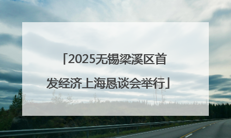 2025无锡梁溪区首发经济上海恳谈会举行
