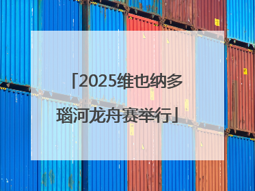 2025维也纳多瑙河龙舟赛举行