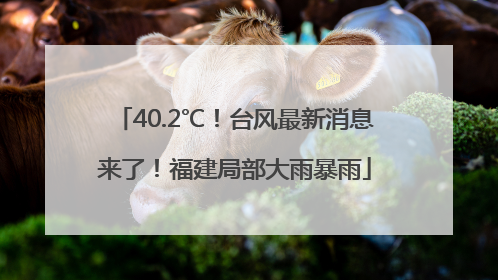 40.2℃！台风最新消息来了！福建局部大雨暴雨