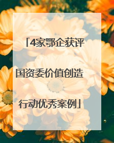 4家鄂企获评国资委价值创造行动优秀案例