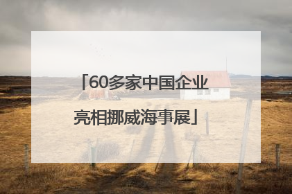 60多家中国企业亮相挪威海事展