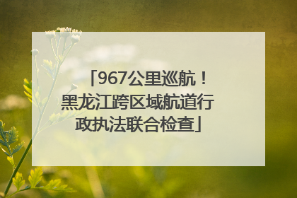 967公里巡航！黑龙江跨区域航道行政执法联合检查