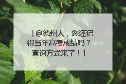@德州人，您还记得当年高考成绩吗？查询方式来了！