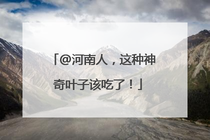 @河南人，这种神奇叶子该吃了！