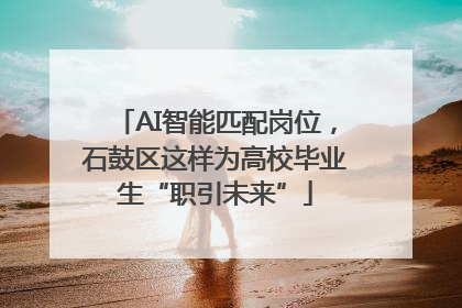 AI智能匹配岗位，石鼓区这样为高校毕业生“职引未来”
