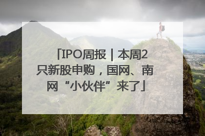 IPO周报｜本周2只新股申购，国网、南网“小伙伴”来了
