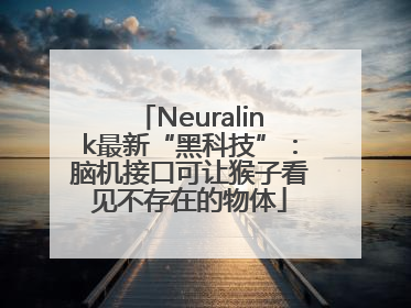 Neuralink最新“黑科技”：脑机接口可让猴子看见不存在的物体