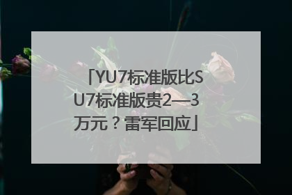 YU7标准版比SU7标准版贵2—3万元？雷军回应